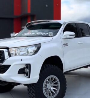 N80 Hilux Sunvisors