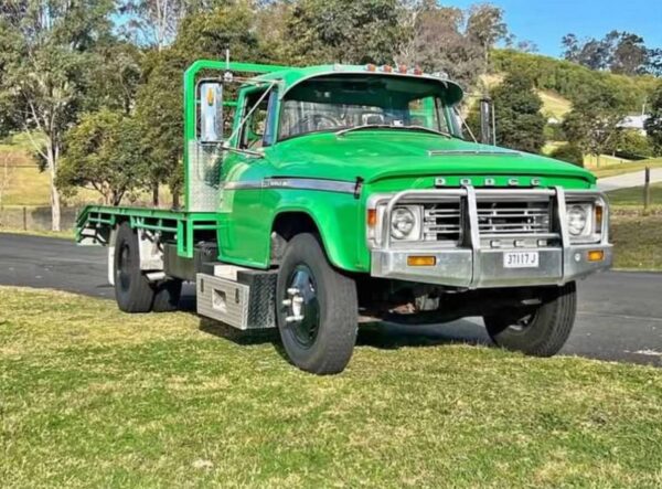 Dodge Truck D5N /AT4 Sun Visor