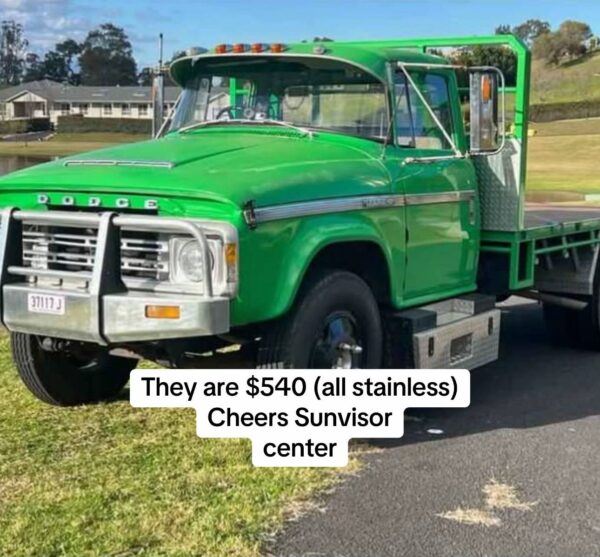 Dodge Truck D5N /AT4 Sun Visor