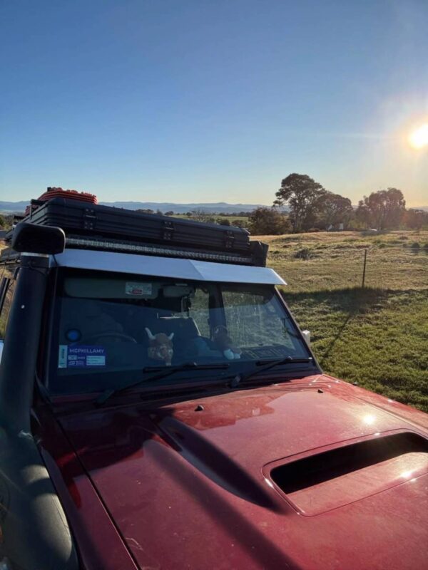 Toyota Land Cruiser 70/76/79 Series Wagon, SunVisor