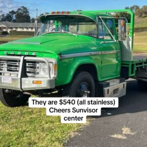 Dodge Truck D5N /AT4 Sun Visor